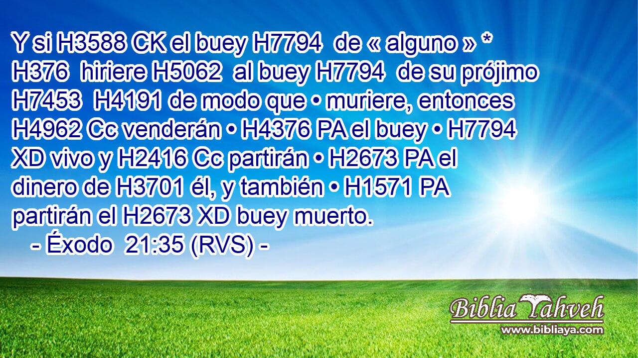 Y si H3588 CK el buey H7794  de « alguno » * H376  hiriere H5062  al buey H7794  de su prójimo H7453  H4191 de modo que • muriere, entonces H4962 Cc venderán • H4376 PA el buey • H7794 XD vivo y H2416 Cc partirán • H2673 PA el dinero de H3701 él, y también • H1571 PA partirán el H2673 XD buey muerto. 