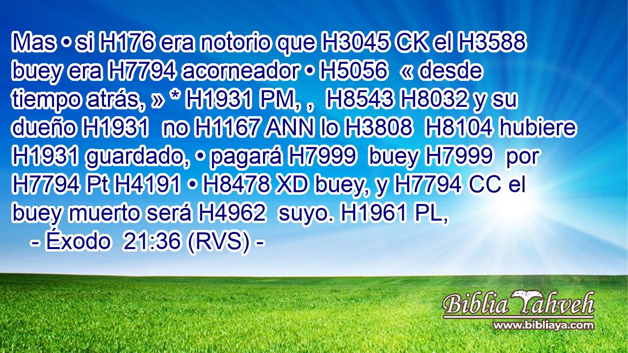 Mas • si H176 era notorio que H3045 CK el H3588 buey era H7794 acorneador • H5056  « desde tiempo atrás, » * H1931 PM, ,  H8543 H8032 y su dueño H1931  no H1167 ANN lo H3808  H8104 hubiere H1931 guardado, • pagará H7999  buey H7999  por H7794 Pt H4191 • H8478 XD buey, y H7794 CC el buey muerto será H4962  suyo. H1961 PL,  