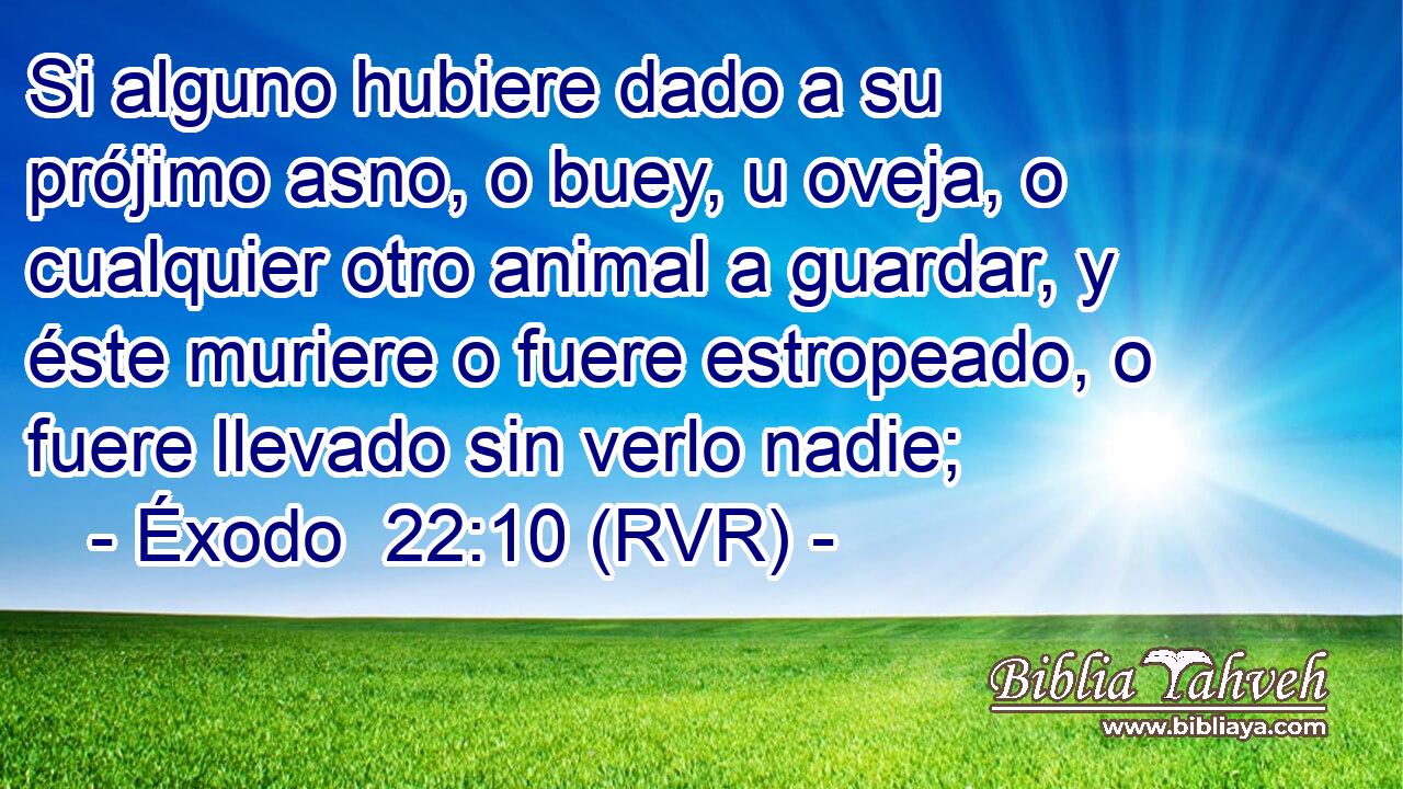 Si alguno hubiere dado a su prójimo asno, o buey, u oveja, o cualquier otro animal a guardar, y éste muriere o fuere estropeado, o fuere llevado sin verlo nadie;