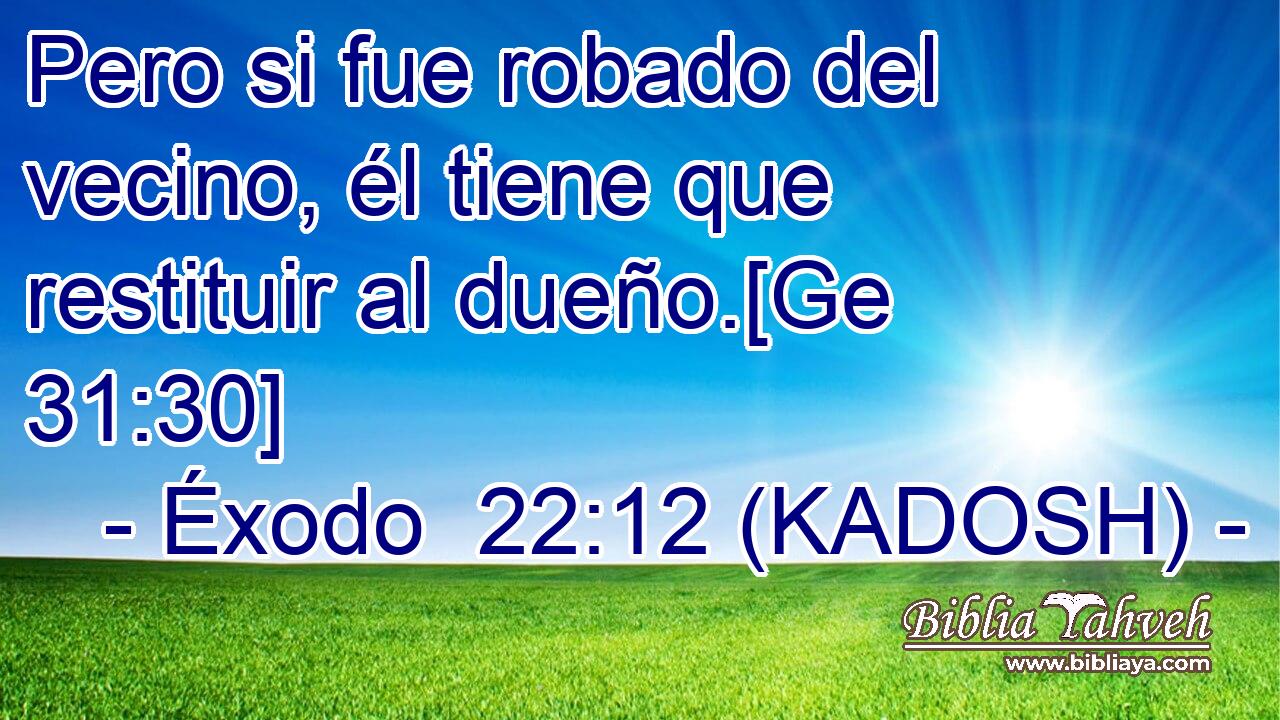  Pero si fue robado del vecino, él tiene que restituir al dueño.[Ge 31:30] 