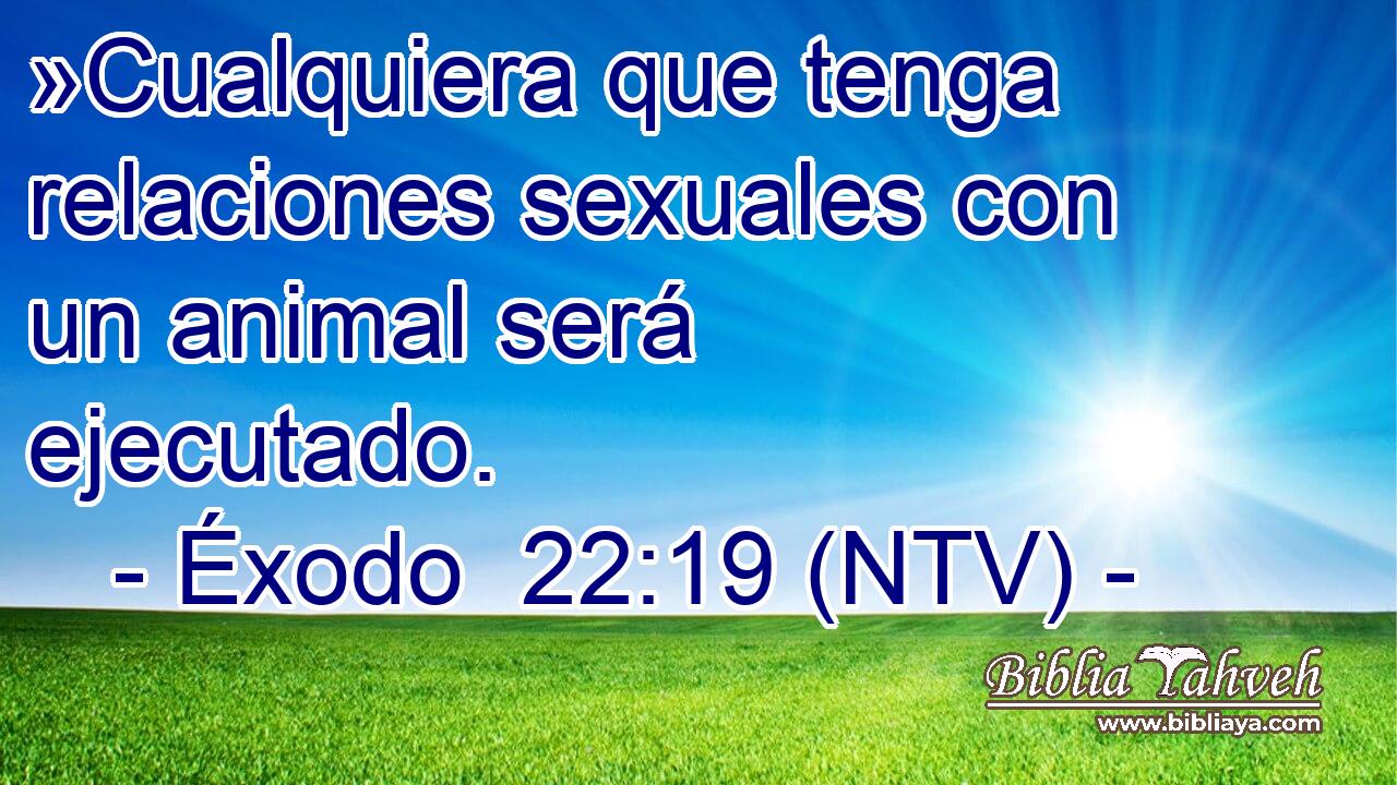 »Cualquiera que tenga relaciones sexuales con un animal será ejecutado.