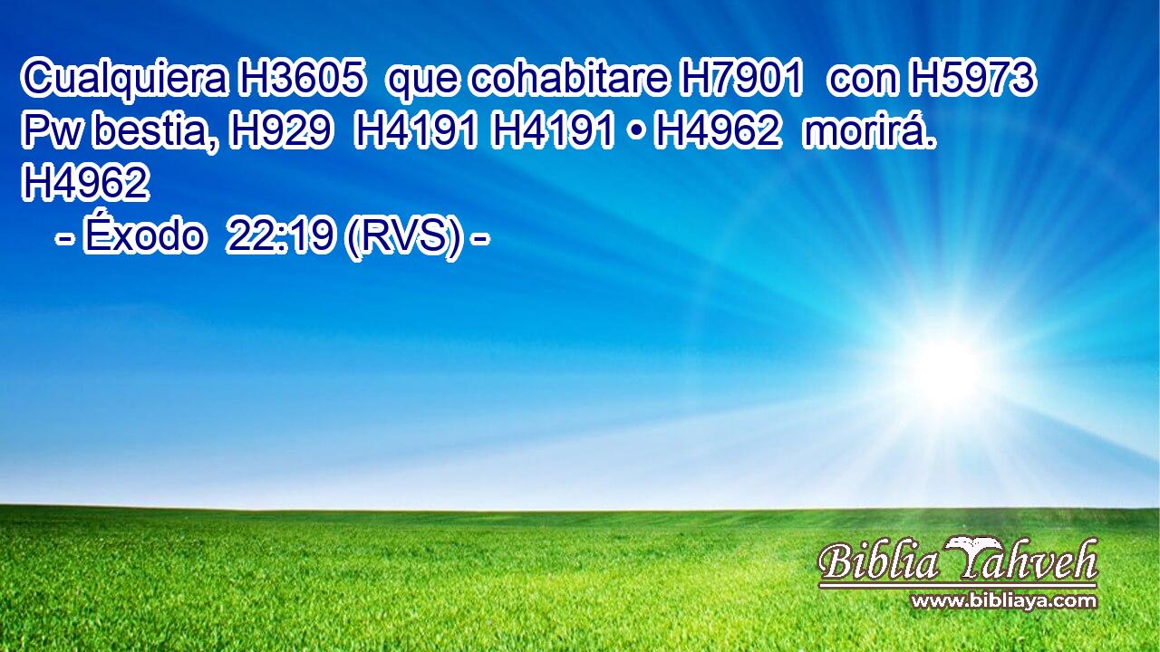 Cualquiera H3605  que cohabitare H7901  con H5973 Pw bestia, H929  H4191 H4191 • H4962  morirá. H4962  