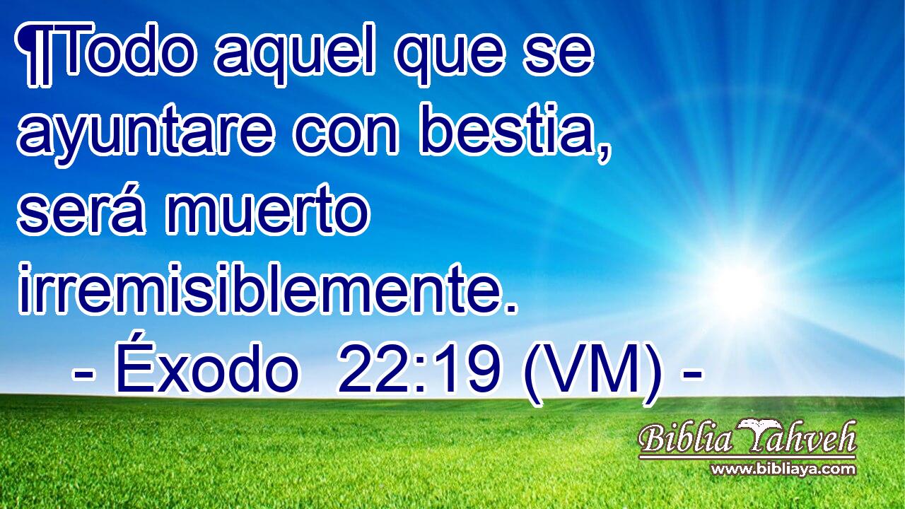  ¶Todo aquel que se ayuntare con bestia, será muerto irremisiblemente. 