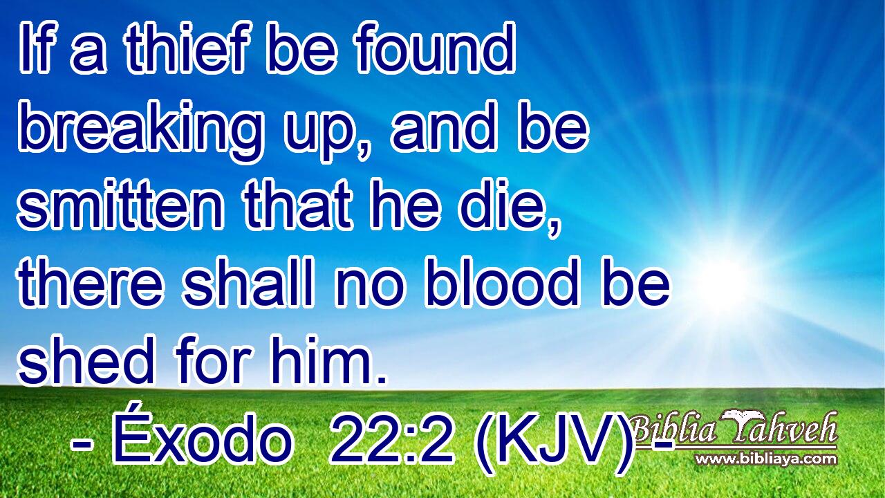 If a thief be found breaking up, and be smitten that he die, there shall no blood be shed for him.