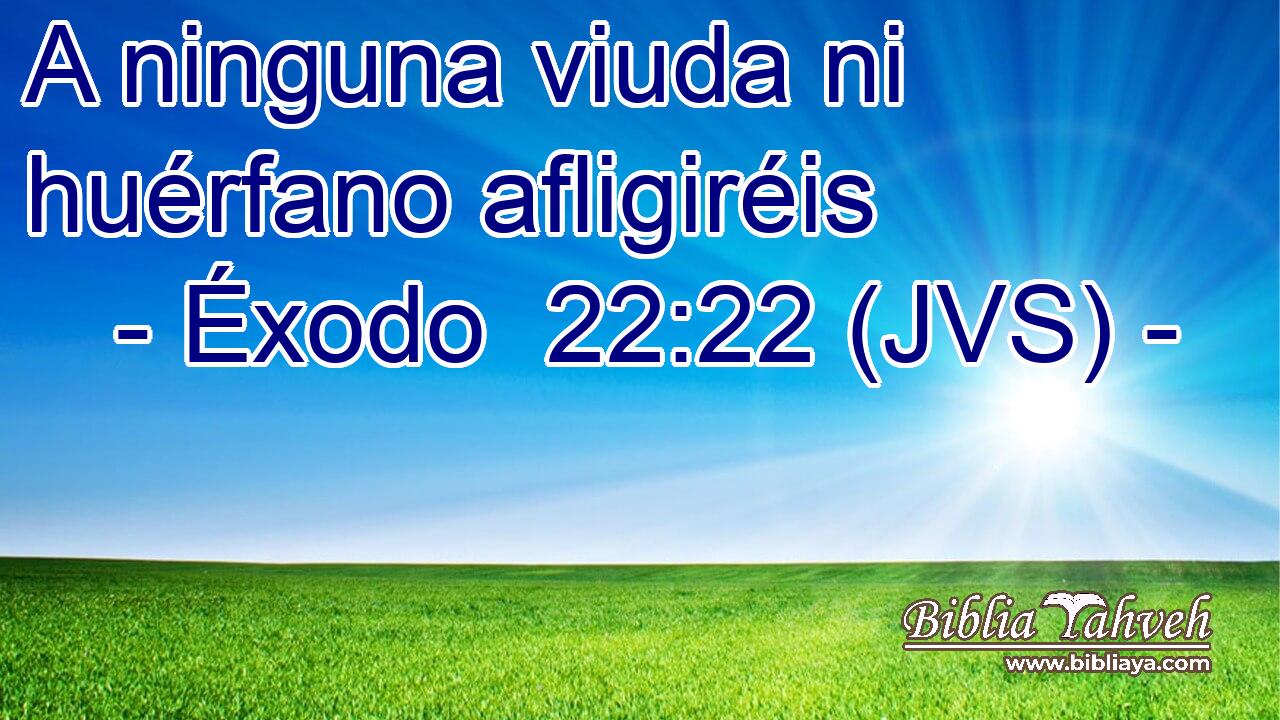 A ninguna viuda ni huérfano afligiréis
