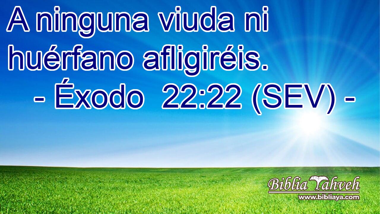 A ninguna viuda ni huérfano afligiréis.