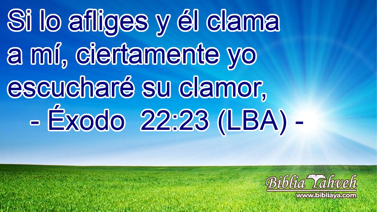 Si lo afliges y él clama a mí, ciertamente yo escucharé su clamor,