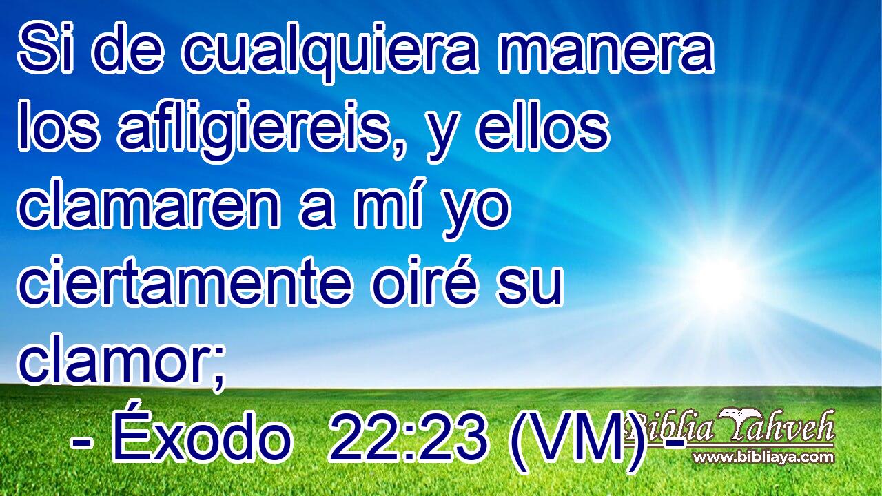  Si de cualquiera manera los afligiereis, y ellos clamaren a mí yo ciertamente oiré su clamor; 