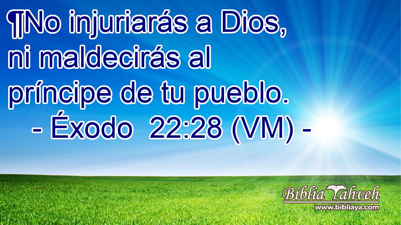  ¶No injuriarás a Dios, ni maldecirás al príncipe de tu pueblo. 