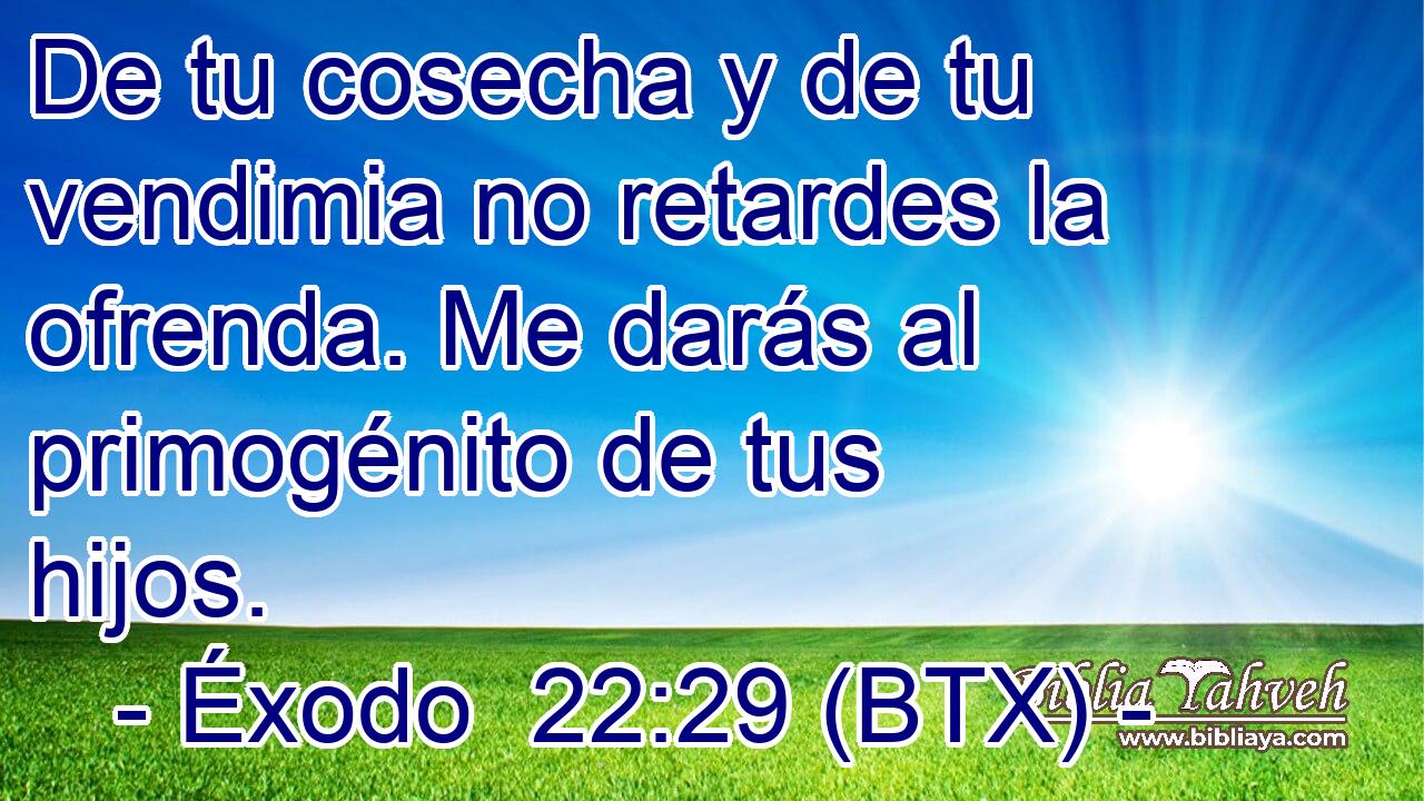 De tu cosecha y de tu vendimia no retardes la ofrenda. Me darás al primogénito de tus hijos.