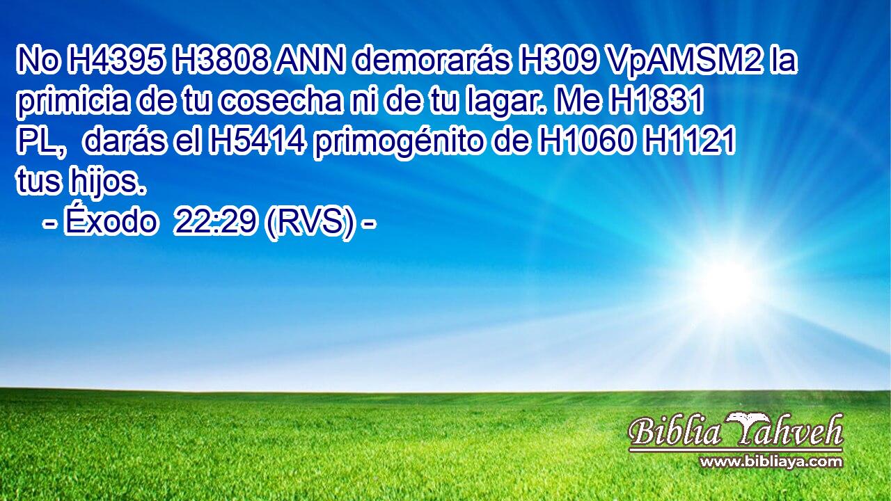 No H4395 H3808 ANN demorarás H309 VpAMSM2 la primicia de tu cosecha ni de tu lagar. Me H1831 PL,  darás el H5414 primogénito de H1060 H1121 tus hijos. 