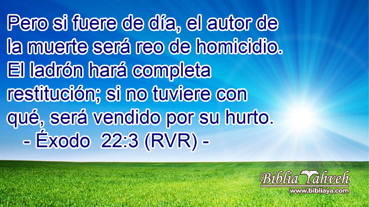 Pero si fuere de día, el autor de la muerte será reo de homicidio. El ladrón hará completa restitución; si no tuviere con qué, será vendido por su hurto.