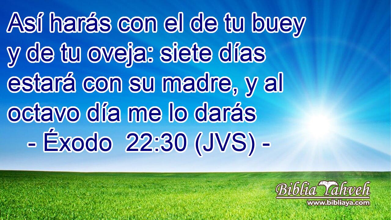 Así harás con el de tu buey y de tu oveja: siete días estará con su madre, y al octavo día me lo darás