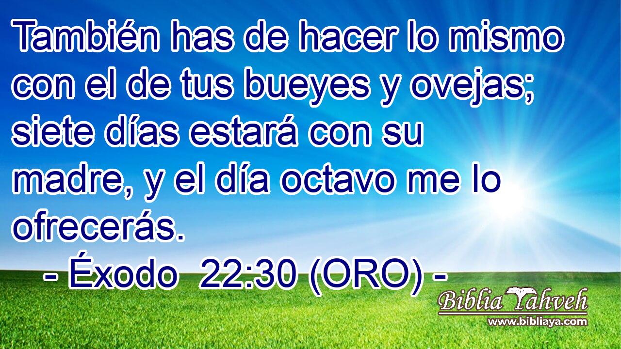  También has de hacer lo mismo con el de tus bueyes y ovejas; siete días estará con su madre, y el día octavo me lo ofrecerás. 