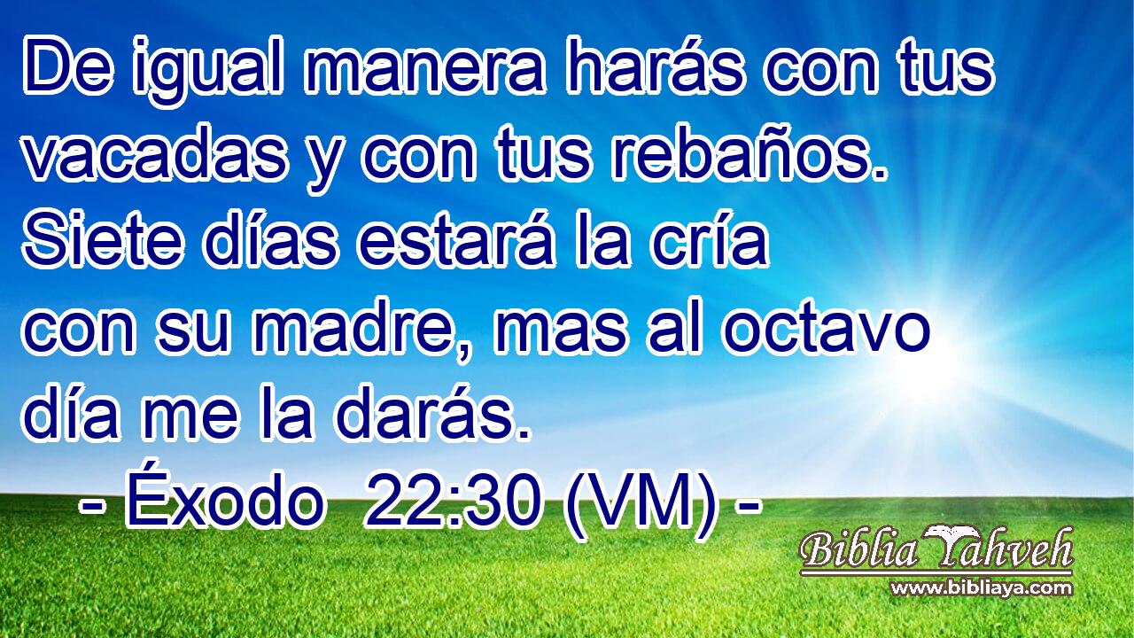  De igual manera harás con tus vacadas y con tus rebaños. Siete días estará la cría con su madre, mas al octavo día me la darás. 