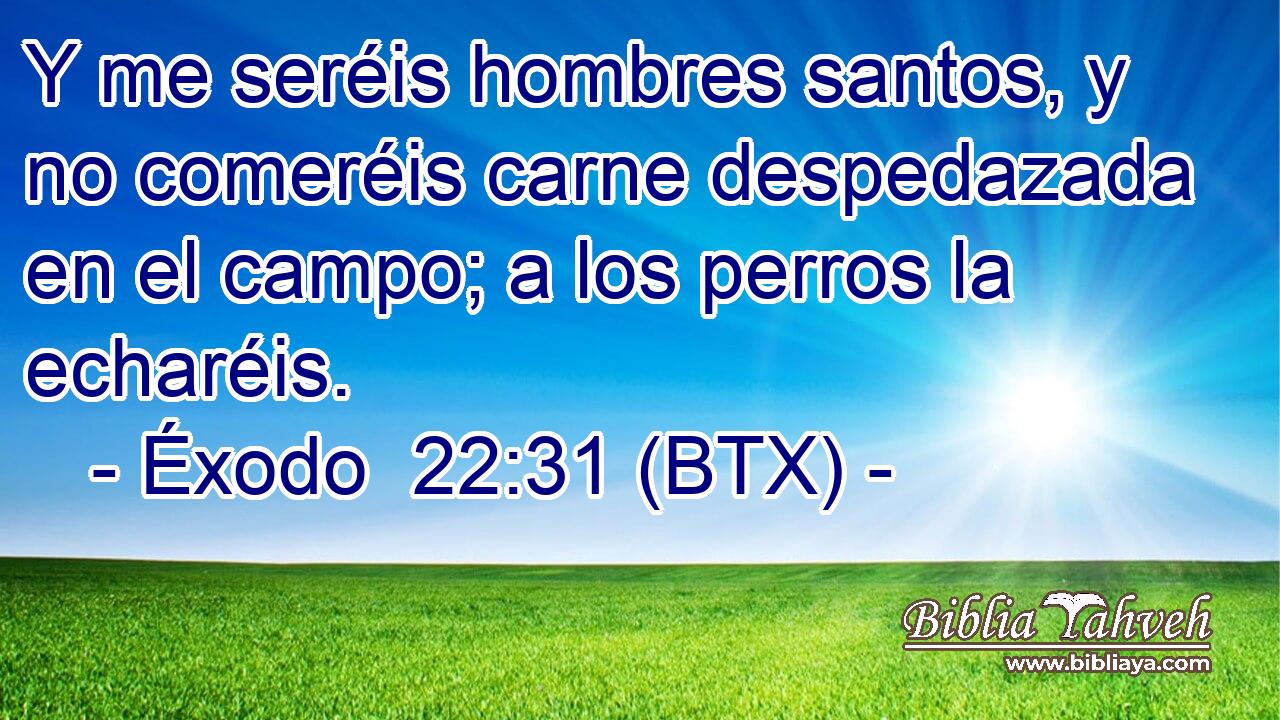 Y me seréis hombres santos, y no comeréis carne despedazada en el campo; a los perros la echaréis.