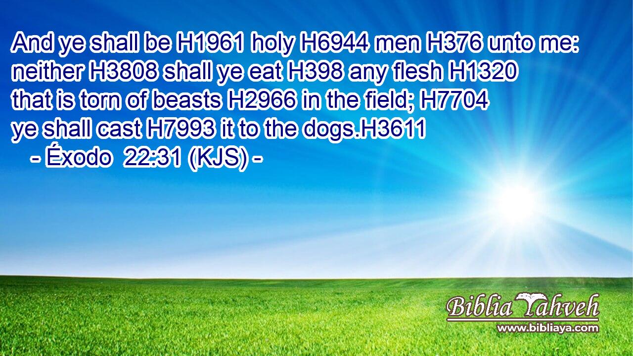 And ye shall be H1961 holy H6944 men H376 unto me: neither H3808 shall ye eat H398 any flesh H1320 that is torn of beasts H2966 in the field; H7704 ye shall cast H7993 it to the dogs.H3611