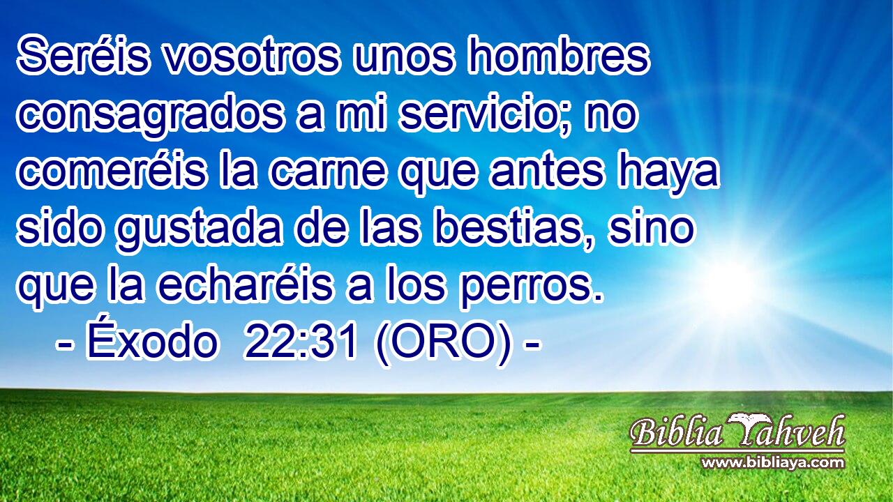  Seréis vosotros unos hombres consagrados a mi servicio; no comeréis la carne que antes haya sido gustada de las bestias, sino que la echaréis a los perros. 