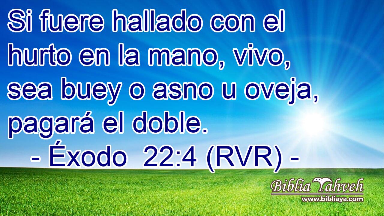 Si fuere hallado con el hurto en la mano, vivo, sea buey o asno u oveja, pagará el doble.
