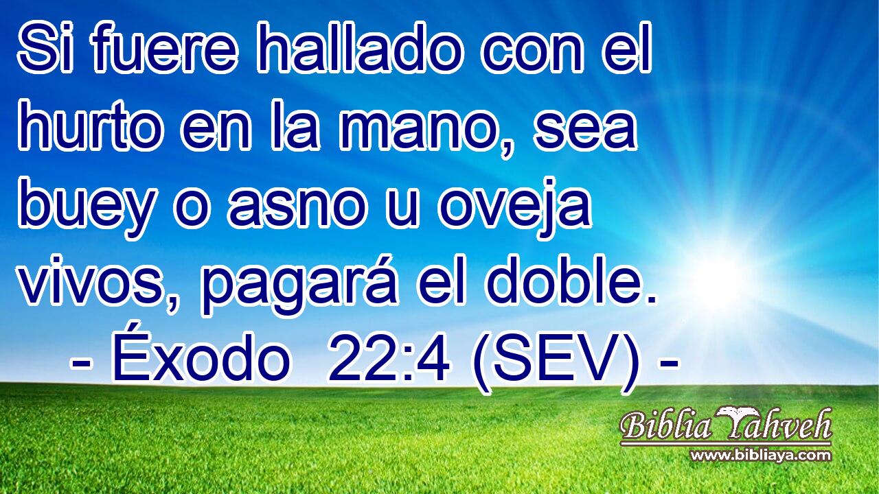 Si fuere hallado con el hurto en la mano, sea buey o asno u oveja vivos, pagará el doble.