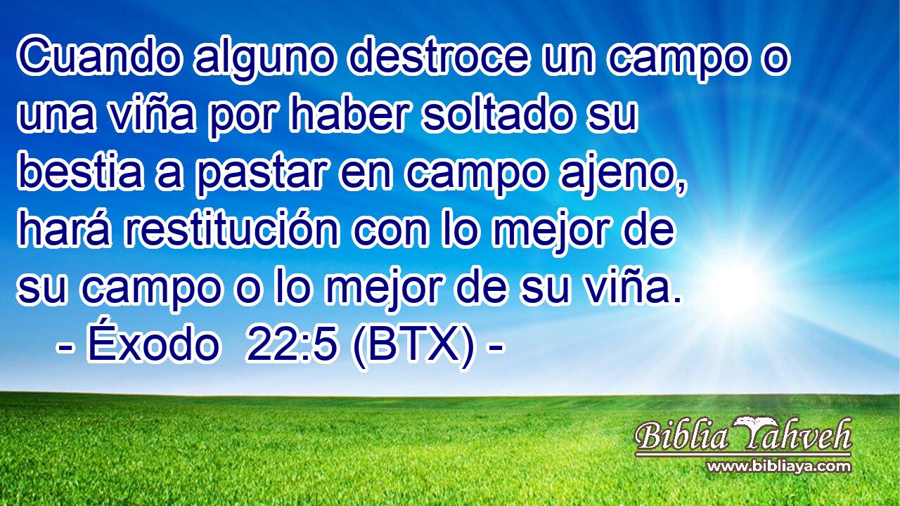 Cuando alguno destroce un campo o una viña por haber soltado su bestia a pastar en campo ajeno, hará restitución con lo mejor de su campo o lo mejor de su viña.