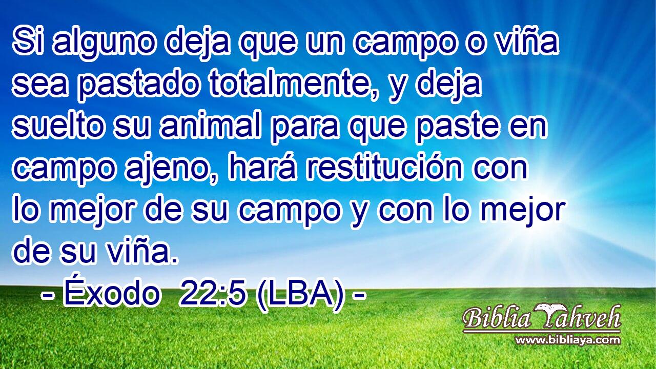 Si alguno deja que un campo o viña sea pastado totalmente, y deja suelto su animal para que paste en campo ajeno, hará restitución con lo mejor de su campo y con lo mejor de su viña.