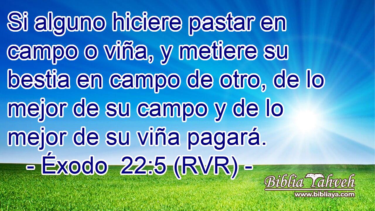 Si alguno hiciere pastar en campo o viña, y metiere su bestia en campo de otro, de lo mejor de su campo y de lo mejor de su viña pagará.
