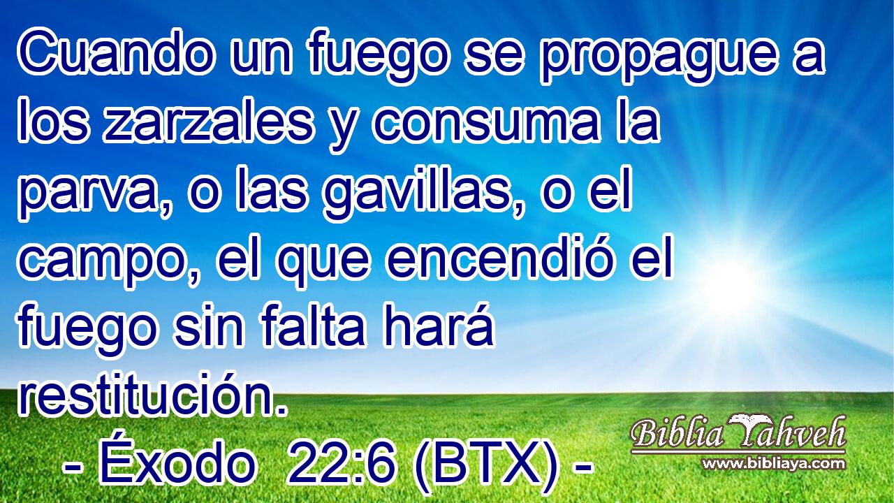 Cuando un fuego se propague a los zarzales y consuma la parva, o las gavillas, o el campo, el que encendió el fuego sin falta hará restitución.