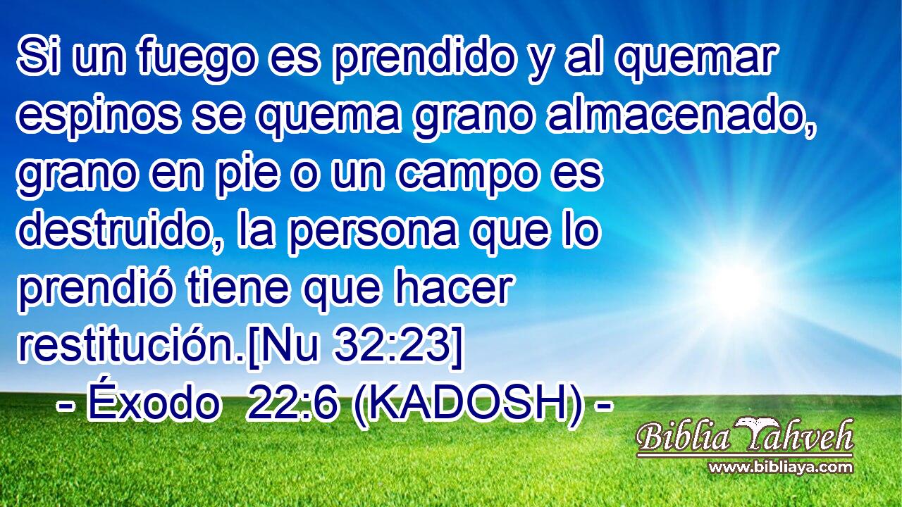  Si un fuego es prendido y al quemar espinos se quema grano almacenado, grano en pie o un campo es destruido, la persona que lo prendió tiene que hacer restitución.[Nu 32:23] 