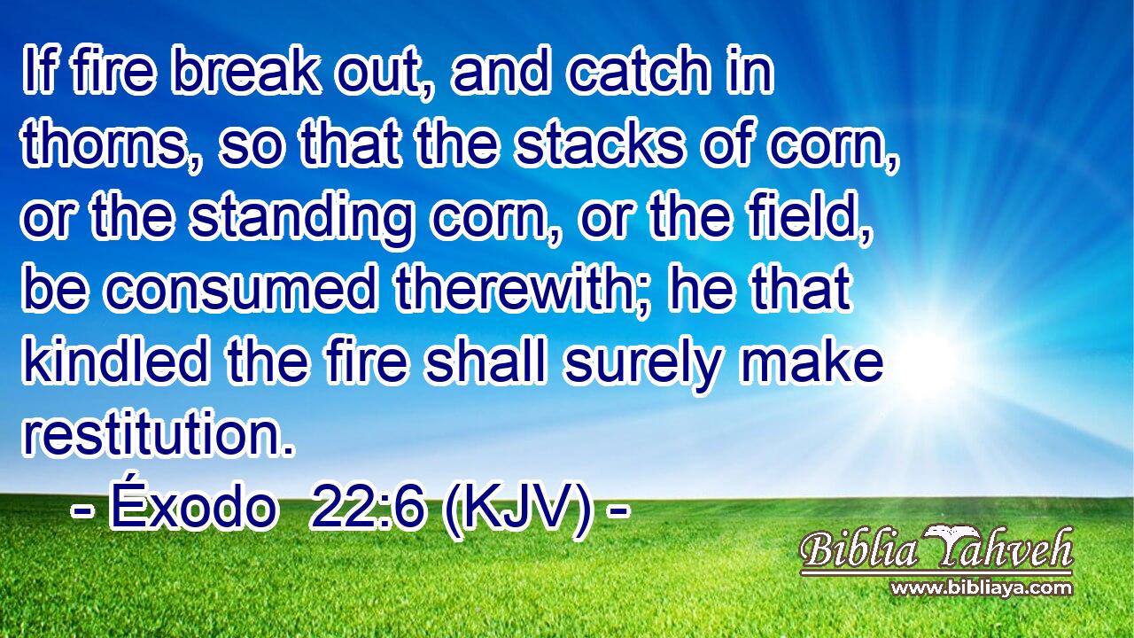 If fire break out, and catch in thorns, so that the stacks of corn, or the standing corn, or the field, be consumed therewith; he that kindled the fire shall surely make restitution.