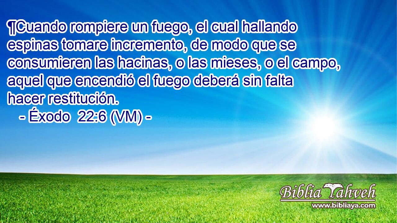  ¶Cuando rompiere un fuego, el cual hallando espinas tomare incremento, de modo que se consumieren las hacinas, o las mieses, o el campo, aquel que encendió el fuego deberá sin falta hacer restitución. 