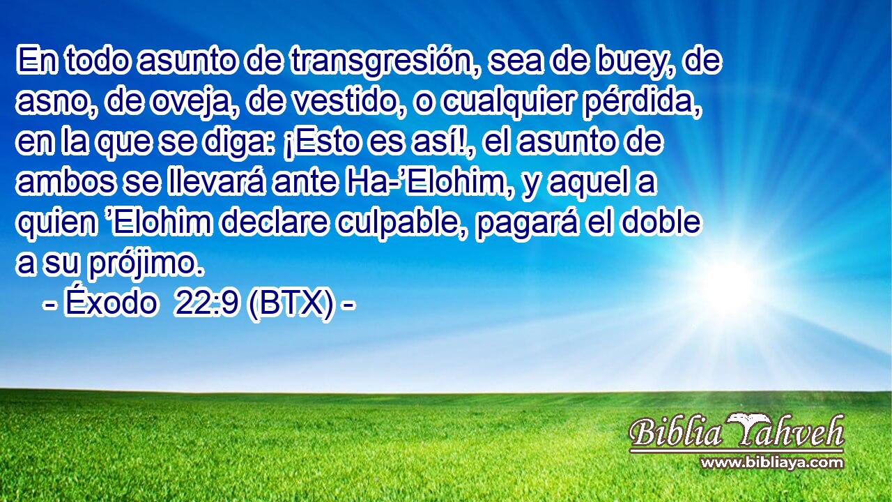 En todo asunto de transgresión, sea de buey, de asno, de oveja, de vestido, o cualquier pérdida, en la que se diga: ¡Esto es así!, el asunto de ambos se llevará ante Ha-’Elohim, y aquel a quien ’Elohim declare culpable, pagará el doble a su prójimo.