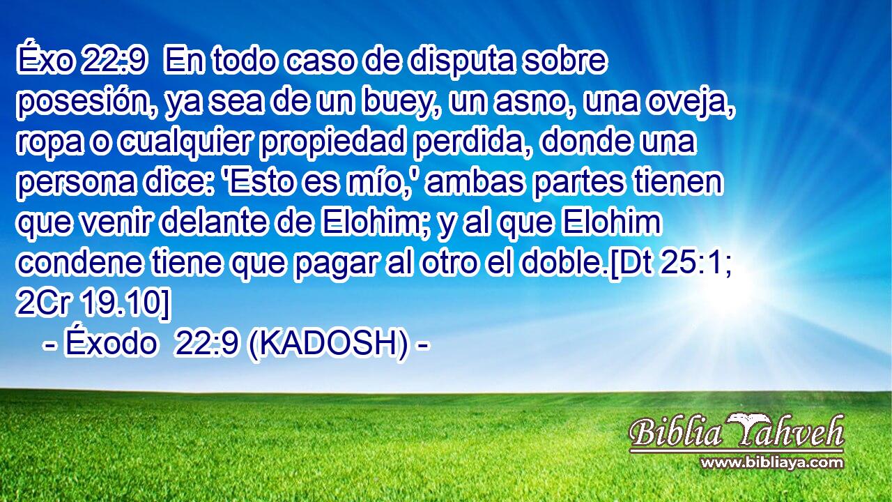  En todo caso de disputa sobre posesión, ya sea de un buey, un asno, una oveja, ropa o cualquier propiedad perdida, donde una persona dice: 'Esto es mío,' ambas partes tienen que venir delante de Elohim; y al que Elohim condene tiene que pagar al otro el doble.[Dt 25:1; 2Cr 19.10] 