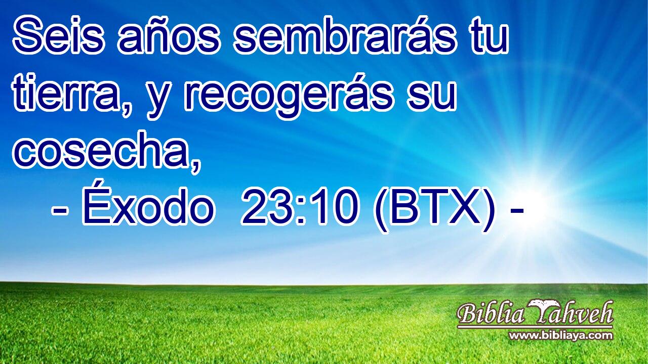 Seis años sembrarás tu tierra, y recogerás su cosecha,
