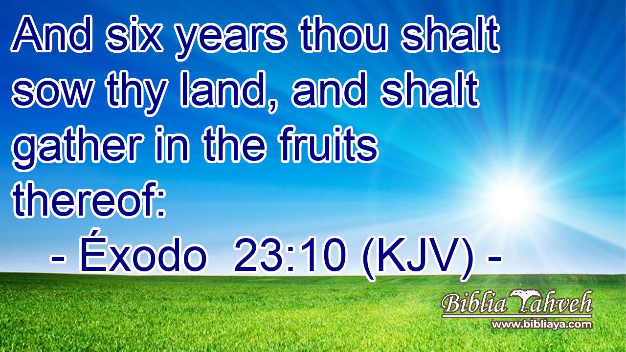 And six years thou shalt sow thy land, and shalt gather in the fruits thereof: