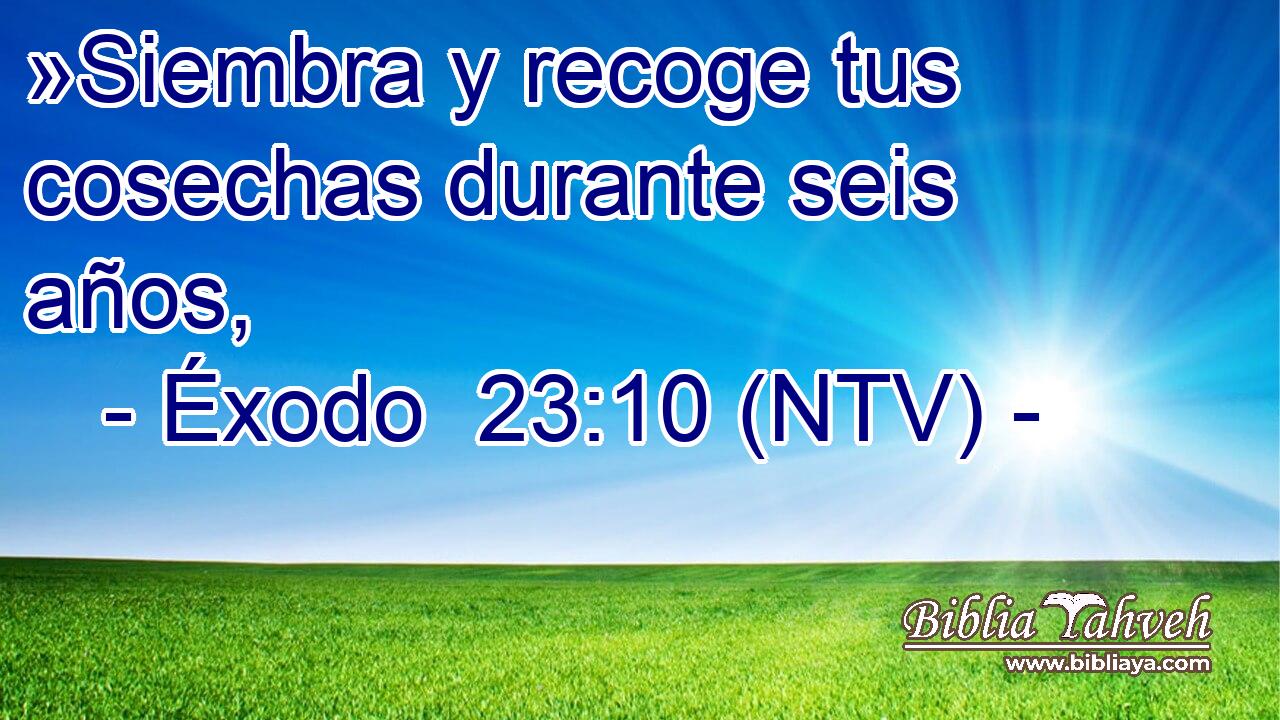»Siembra y recoge tus cosechas durante seis años,