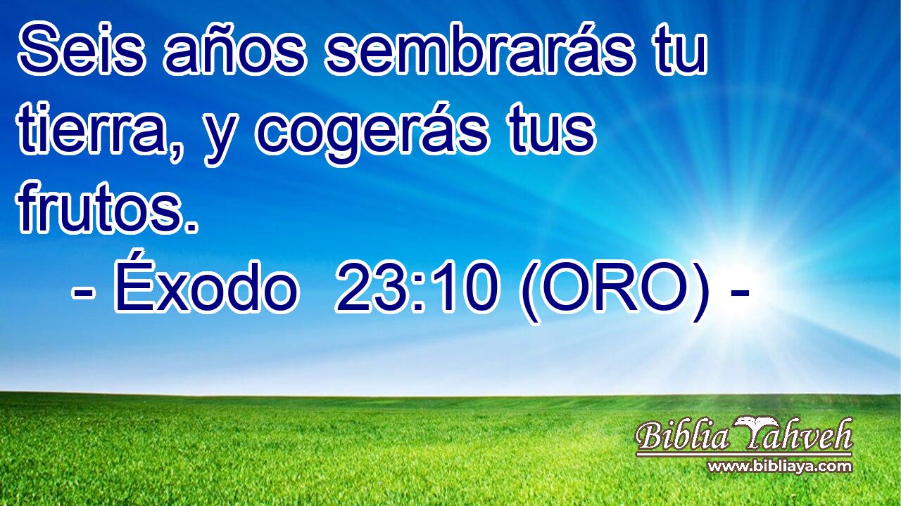  Seis años sembrarás tu tierra, y cogerás tus frutos. 