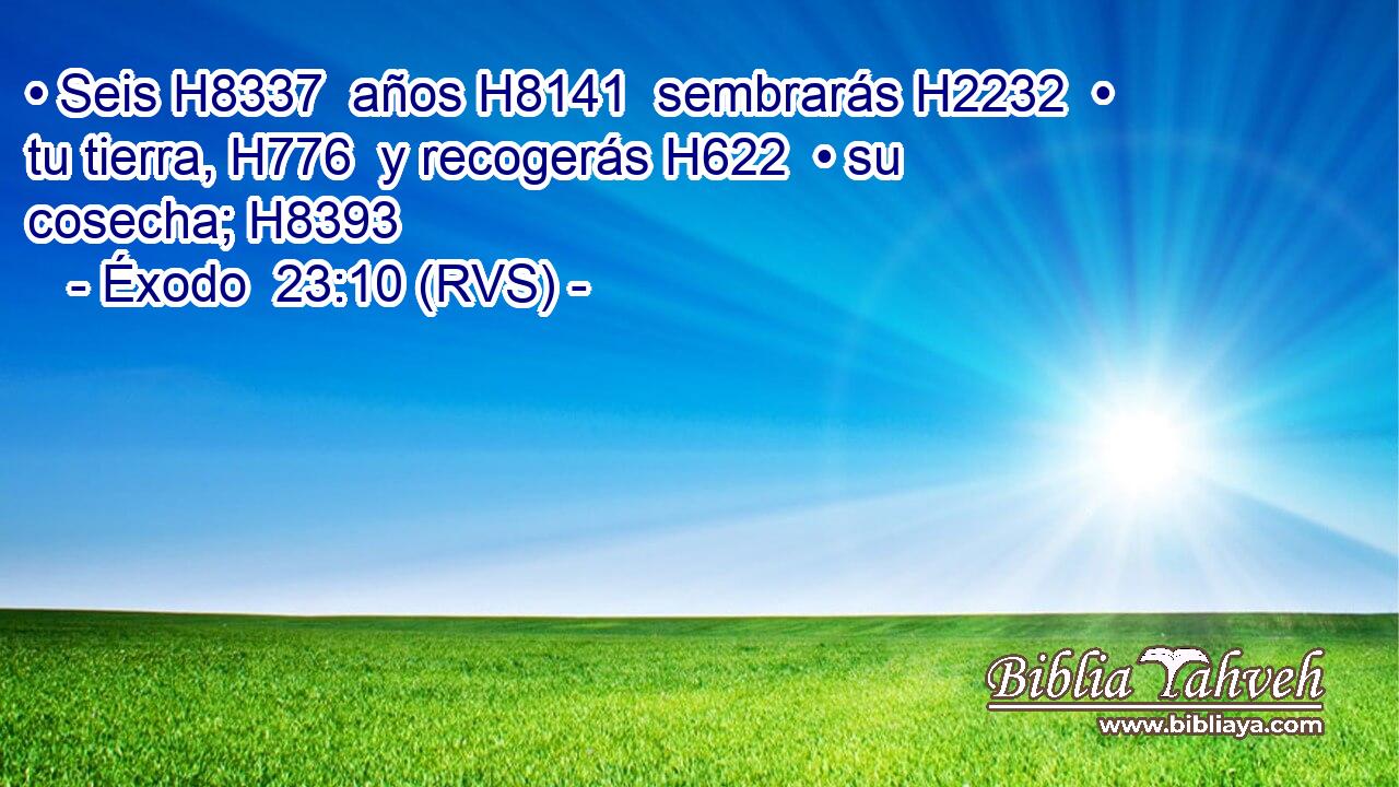 • Seis H8337  años H8141  sembrarás H2232  • tu tierra, H776  y recogerás H622  • su cosecha; H8393  