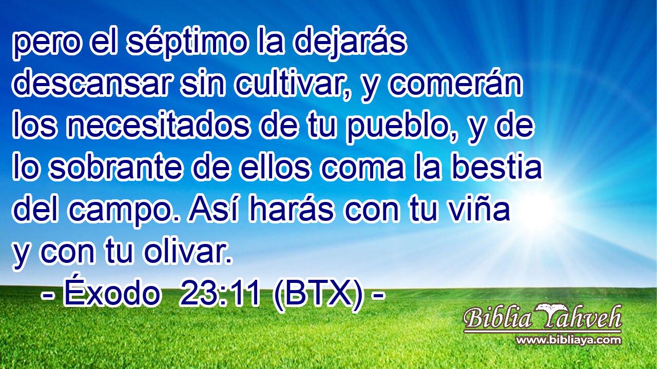 pero el séptimo la dejarás descansar sin cultivar, y comerán los necesitados de tu pueblo, y de lo sobrante de ellos coma la bestia del campo. Así harás con tu viña y con tu olivar.