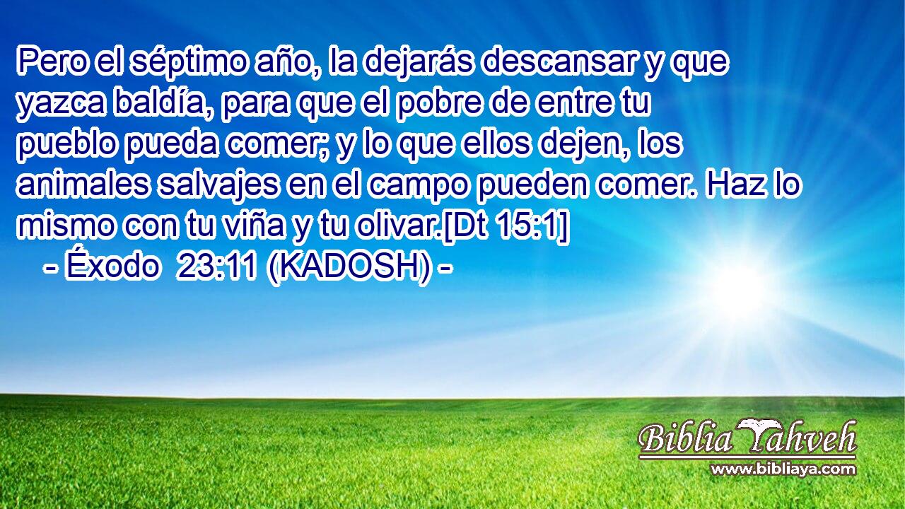  Pero el séptimo año, la dejarás descansar y que yazca baldía, para que el pobre de entre tu pueblo pueda comer; y lo que ellos dejen, los animales salvajes en el campo pueden comer. Haz lo mismo con tu viña y tu olivar.[Dt 15:1] 