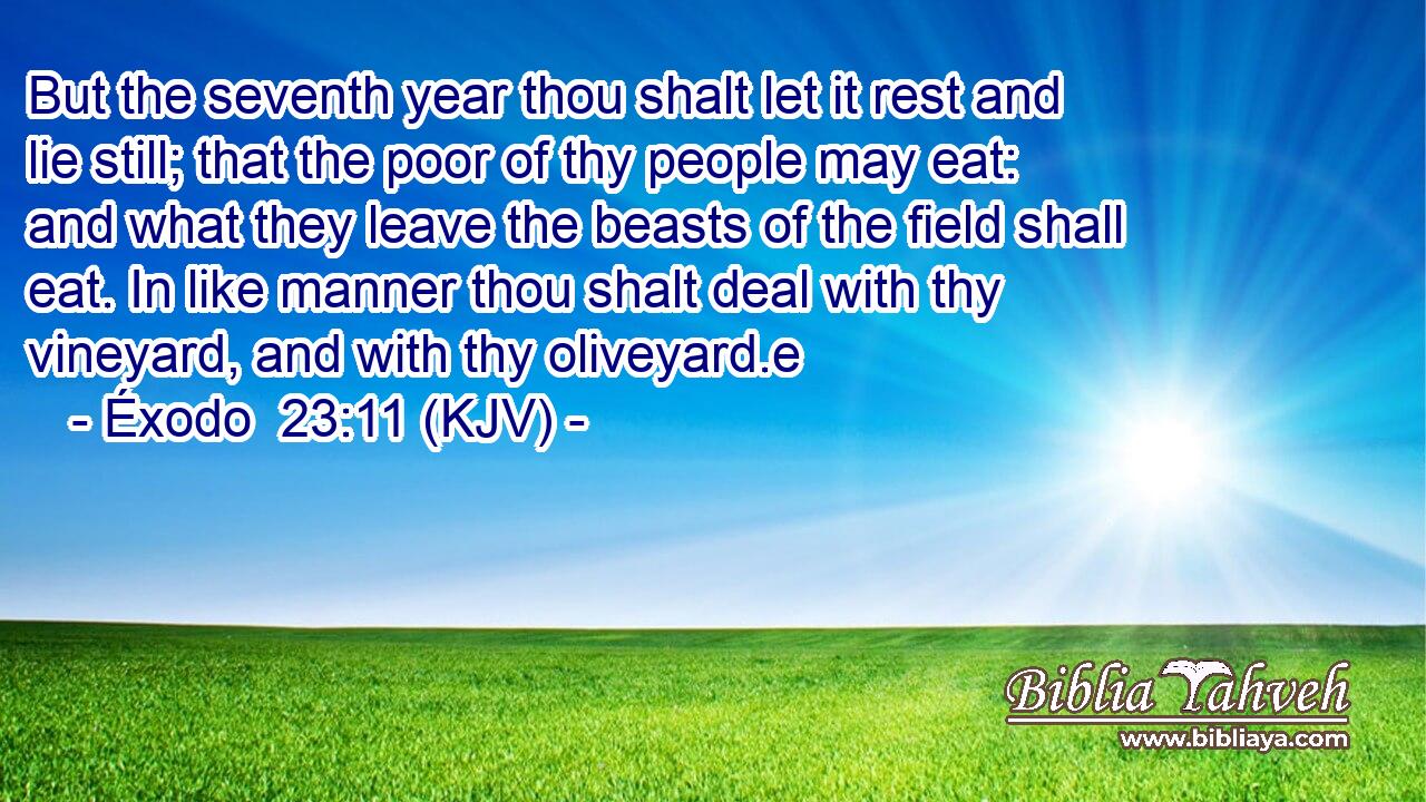But the seventh year thou shalt let it rest and lie still; that the poor of thy people may eat: and what they leave the beasts of the field shall eat. In like manner thou shalt deal with thy vineyard, and with thy oliveyard.e