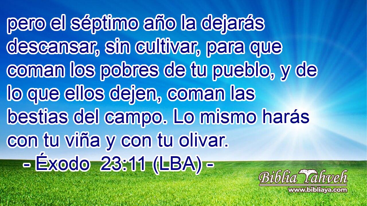 pero el séptimo año la dejarás descansar, sin cultivar, para que coman los pobres de tu pueblo, y de lo que ellos dejen, coman las bestias del campo. Lo mismo harás con tu viña y con tu olivar.