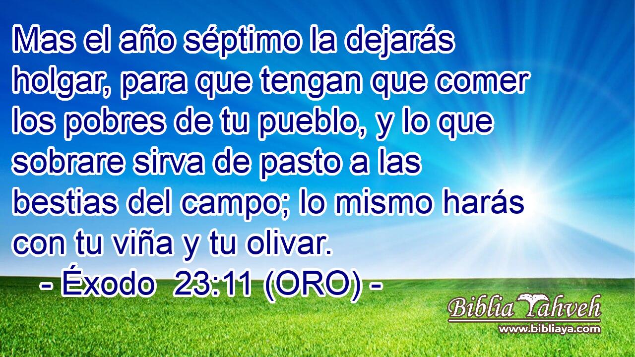  Mas el año séptimo la dejarás holgar, para que tengan que comer los pobres de tu pueblo, y lo que sobrare sirva de pasto a las bestias del campo; lo mismo harás con tu viña y tu olivar. 