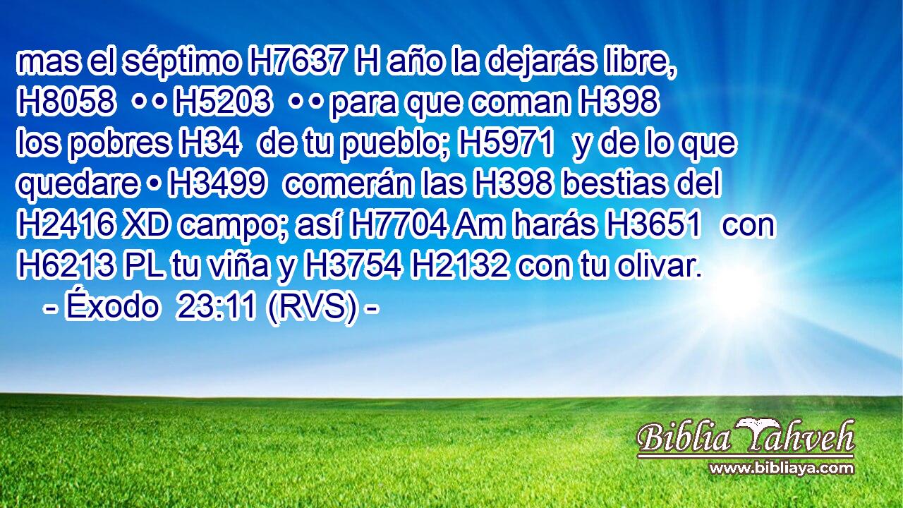mas el séptimo H7637 H año la dejarás libre, H8058  • • H5203  • • para que coman H398  los pobres H34  de tu pueblo; H5971  y de lo que quedare • H3499  comerán las H398 bestias del H2416 XD campo; así H7704 Am harás H3651  con H6213 PL tu viña y H3754 H2132 con tu olivar. 