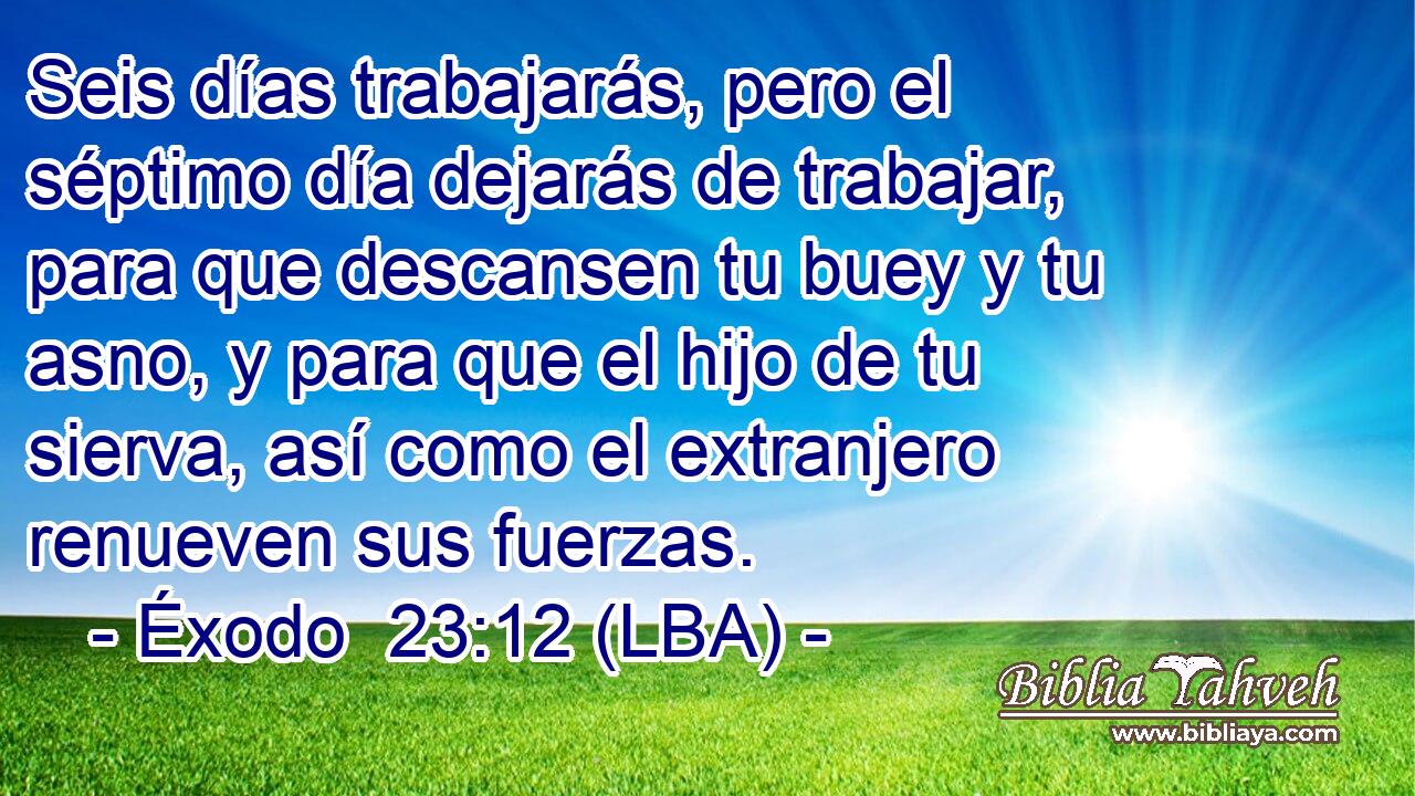 Seis días trabajarás, pero el séptimo día dejarás de trabajar, para que descansen tu buey y tu asno, y para que el hijo de tu sierva, así como el extranjero renueven sus fuerzas.