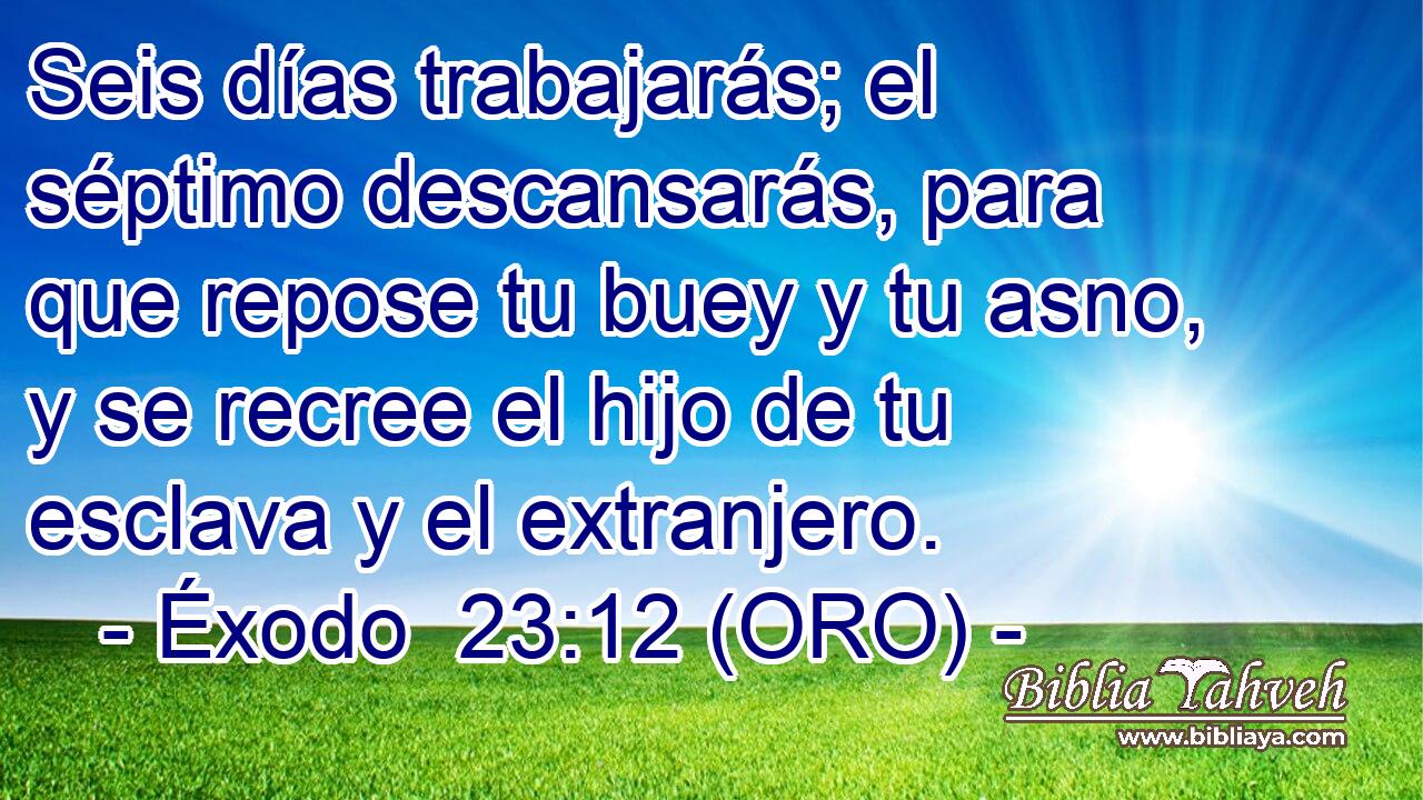  Seis días trabajarás; el séptimo descansarás, para que repose tu buey y tu asno, y se recree el hijo de tu esclava y el extranjero. 