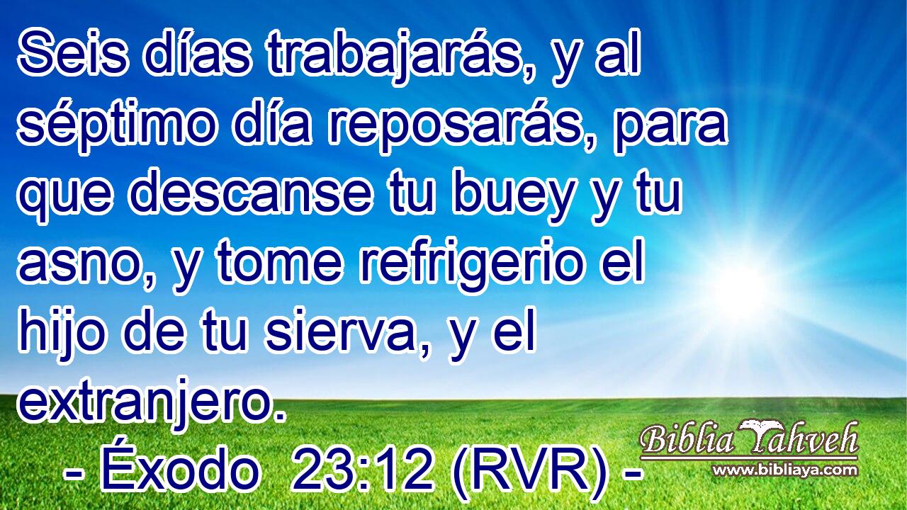 Seis días trabajarás, y al séptimo día reposarás, para que descanse tu buey y tu asno, y tome refrigerio el hijo de tu sierva, y el extranjero.