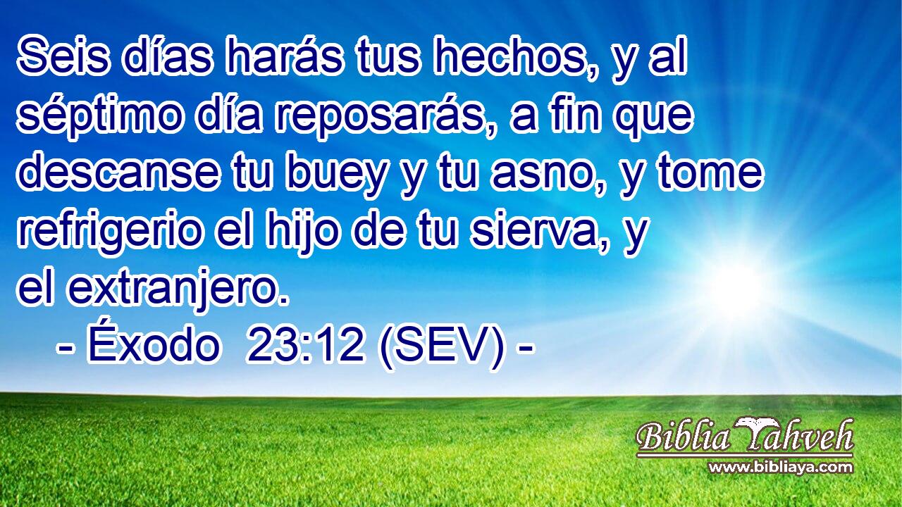 Seis días harás tus hechos, y al séptimo día reposarás, a fin que descanse tu buey y tu asno, y tome refrigerio el hijo de tu sierva, y el extranjero.