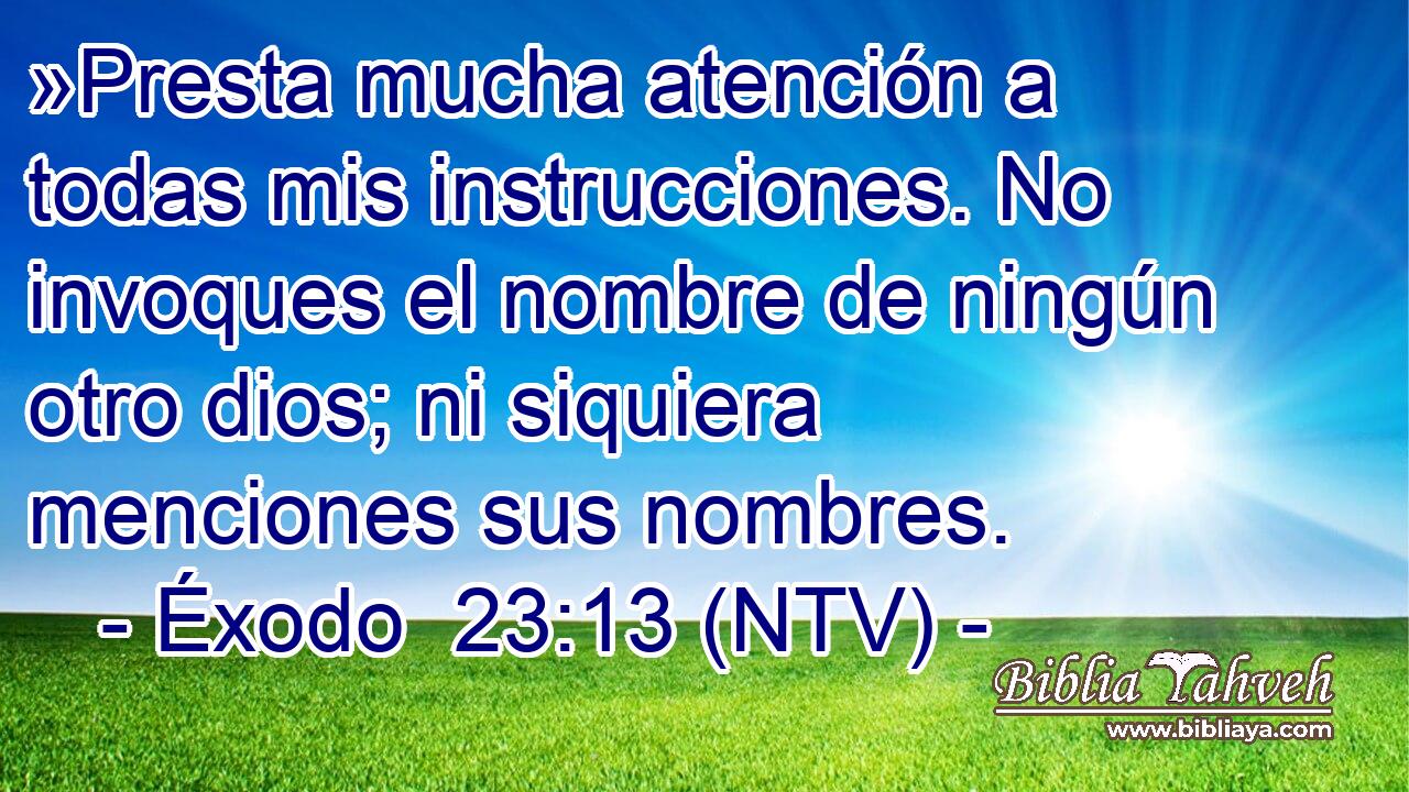 »Presta mucha atención a todas mis instrucciones. No invoques el nombre de ningún otro dios; ni siquiera menciones sus nombres.