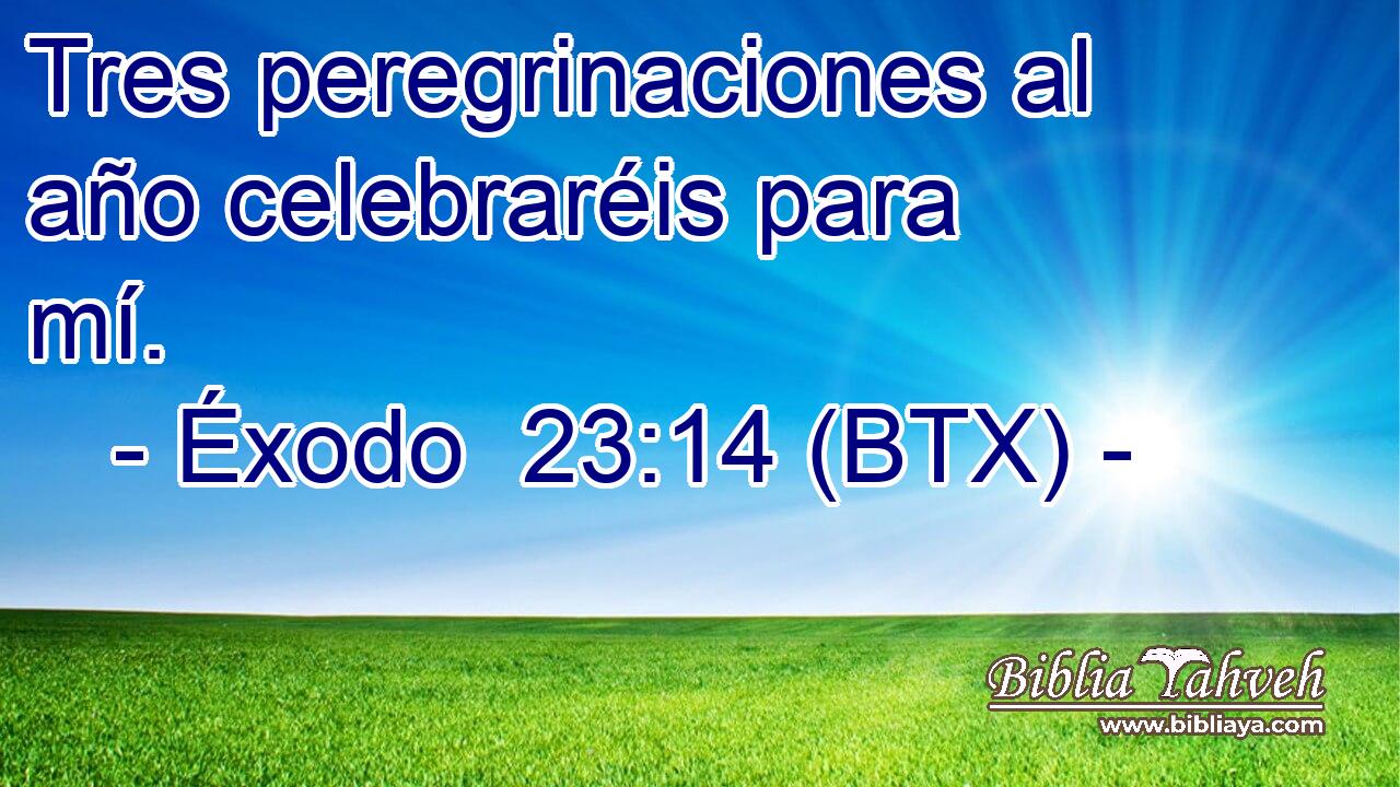 Tres peregrinaciones al año celebraréis para mí.